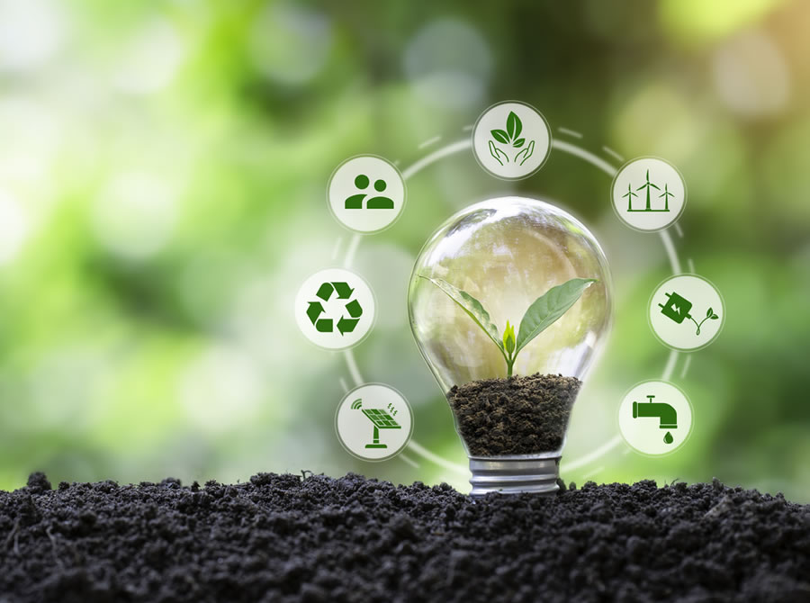 Add Your Heading Text Here